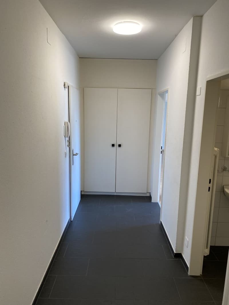 white walls, dark tiled floor, closed door, a double cabinet, a bright light on the ceiling