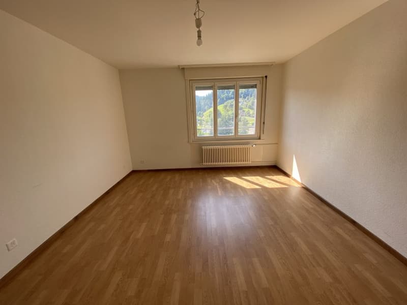 empty room, wooden floor, white walls, window with view, radiator