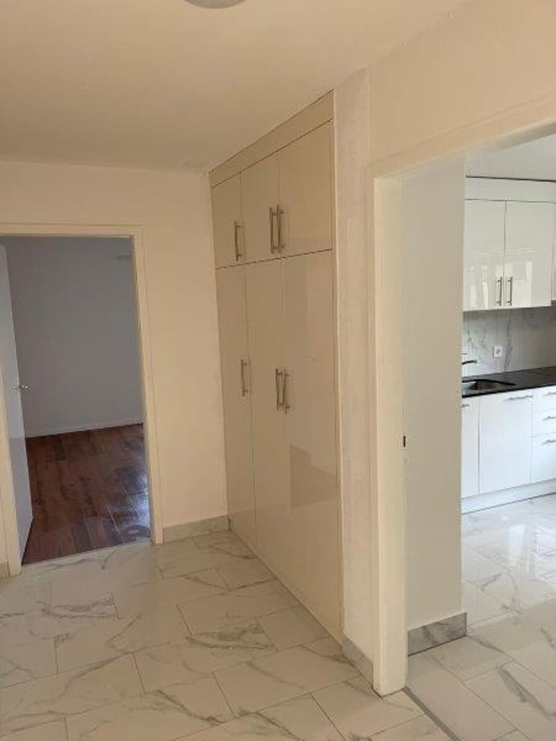 Appartement rénové de 3 pièces avec balcon à Wangen bei Olten (7)