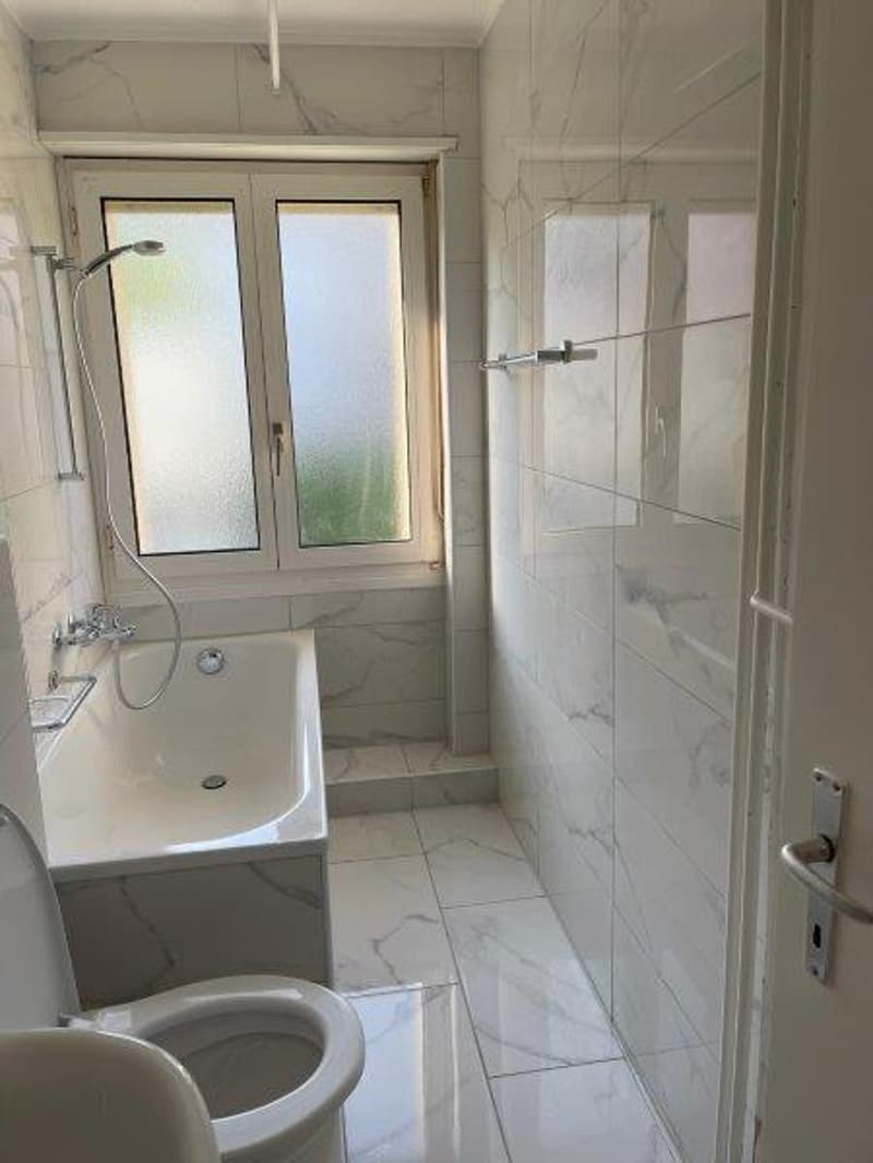 Appartement rénové de 3 pièces avec balcon à Wangen bei Olten (4)