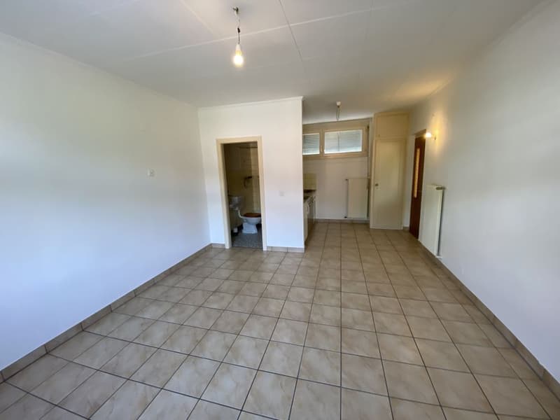 Delizioso appartamento di 2.5 locali con balcone a Champlan (Grimisuat) (6)