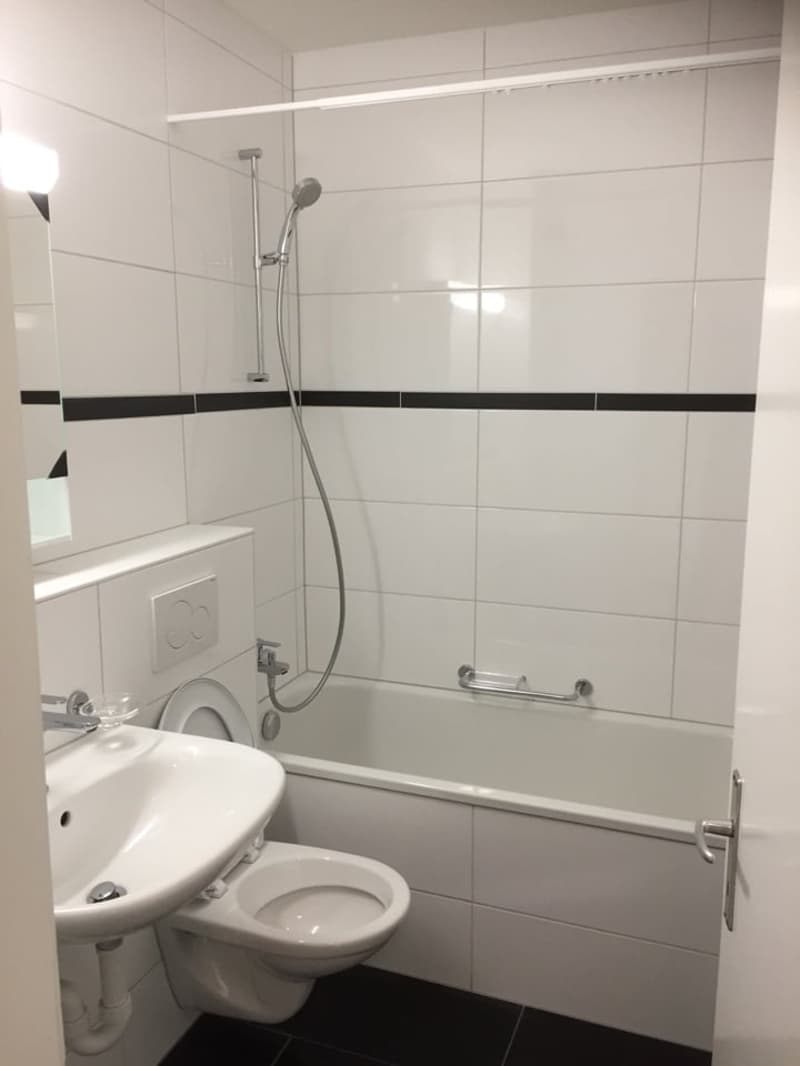 Appartement moderne de 4,5 pièces à louer (5)