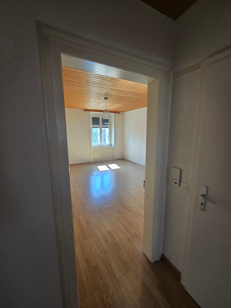 Gemütliche 2-Zimmer-Wohnung im Herzen von Basel (3)