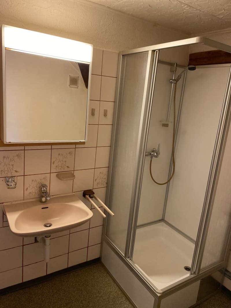 Charming 2-room attic apartment for rent (10)