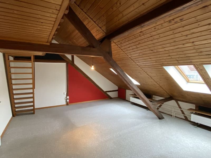 Charming 2-room attic apartment for rent (7)