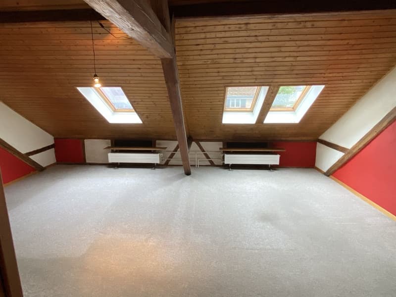 Charming 2-room attic apartment for rent (6)