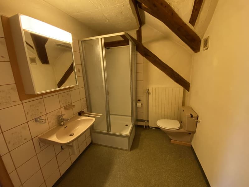 Charming 2-room attic apartment for rent (9)