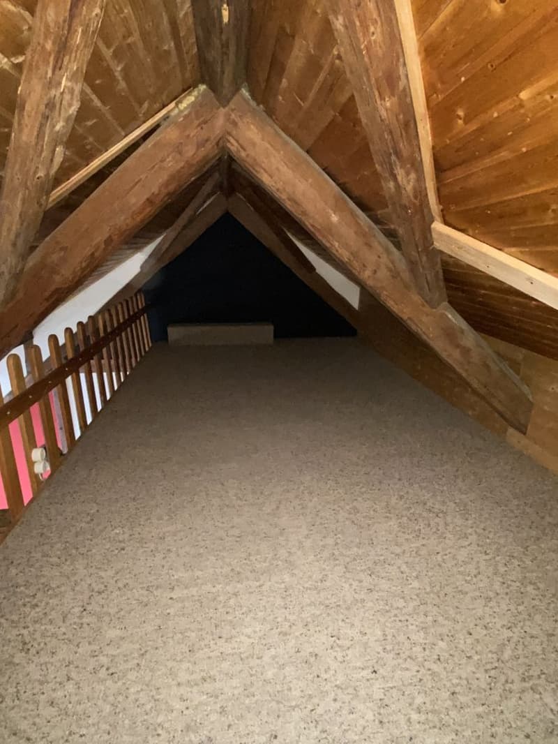 Charming 2-room attic apartment for rent (8)