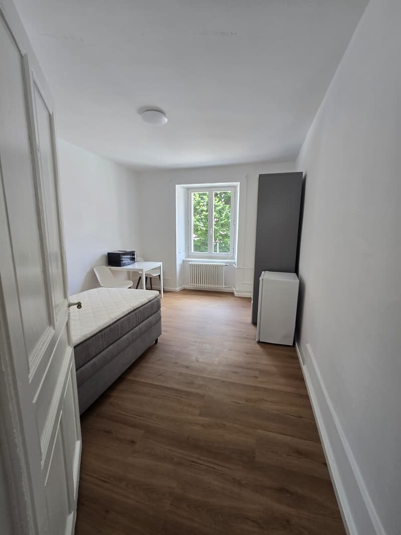 Cozy, bright room in La Chaux-de-Fonds (4)