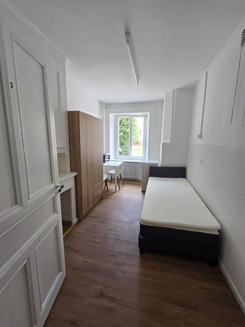 Cozy, bright room in La Chaux-de-Fonds (6)