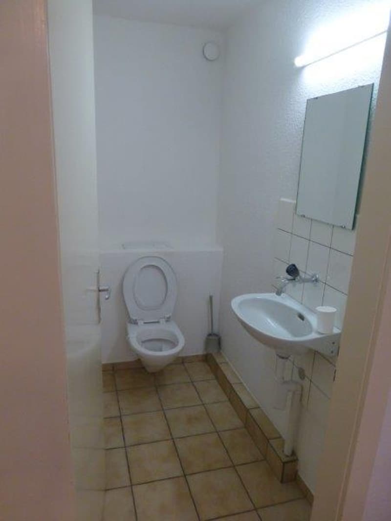 Schöne 4.5-Zimmer-Wohnung zu vermieten (5)