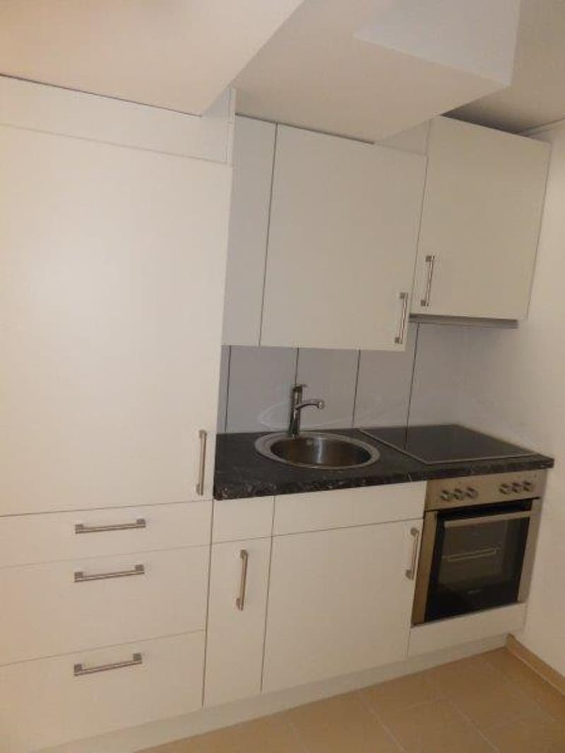 Neu Renoviertes 1-Zimmer-Wohnung in Grenchen (1)