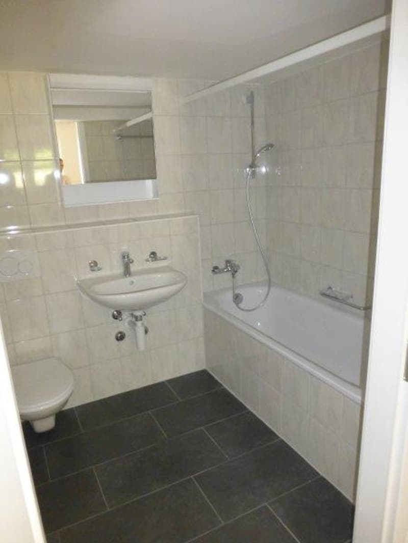 Neu Renoviertes 1-Zimmer-Wohnung in Grenchen (3)