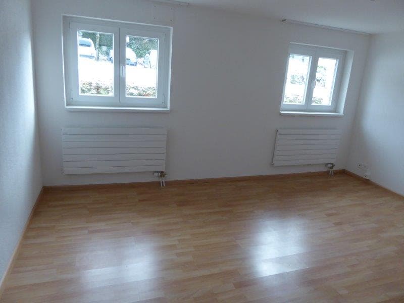 Neu Renoviertes 1-Zimmer-Wohnung in Grenchen (2)