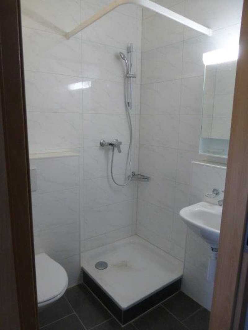 Renoviertes Studio zu vermieten (5)