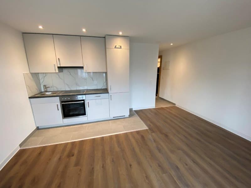Charmantes Studio-Wohnung mit Balkon in La Chaux-de-Fonds renoviert (2)