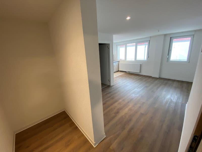 Studio mit angenehmem Blick renoviert – La Chaux-de-Fonds (2)