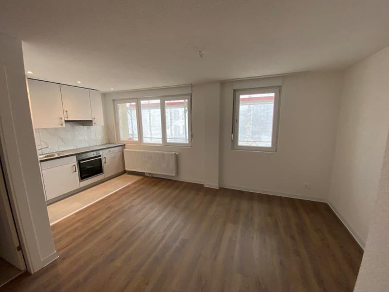Studio mit angenehmem Blick renoviert – La Chaux-de-Fonds (3)