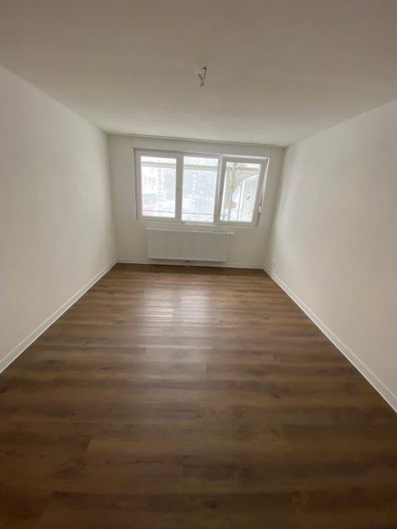 Charmanter 2-Zimmer-Wohnung mit Balkon in La Chaux-de-Fonds (4)