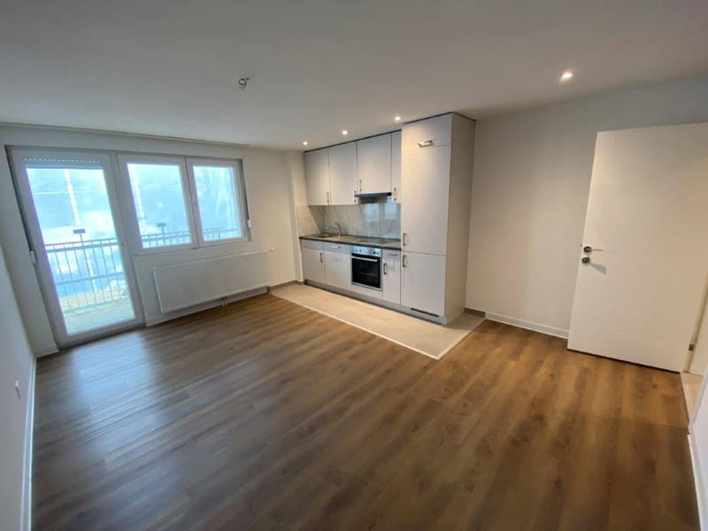 Charmanter 2-Zimmer-Wohnung mit Balkon in La Chaux-de-Fonds (2)