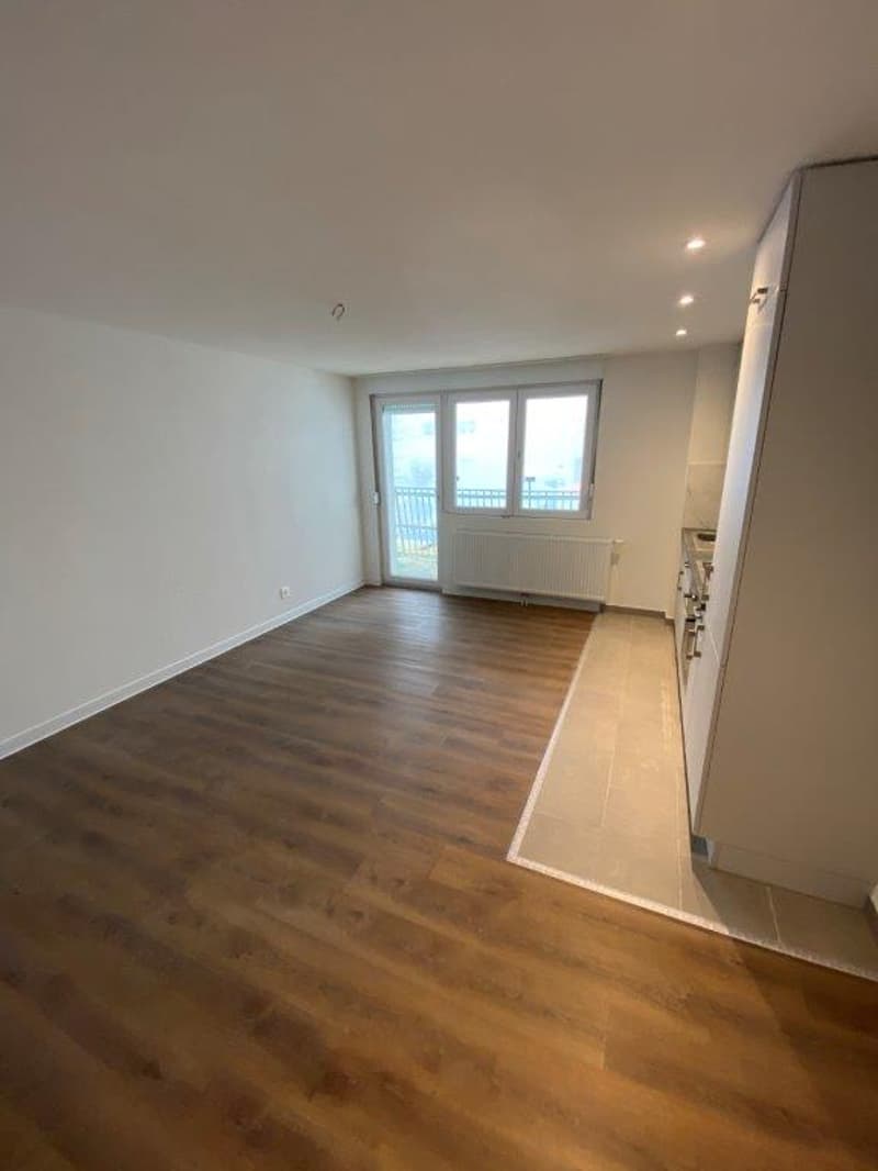 Charmanter 2-Zimmer-Wohnung mit Balkon in La Chaux-de-Fonds (3)