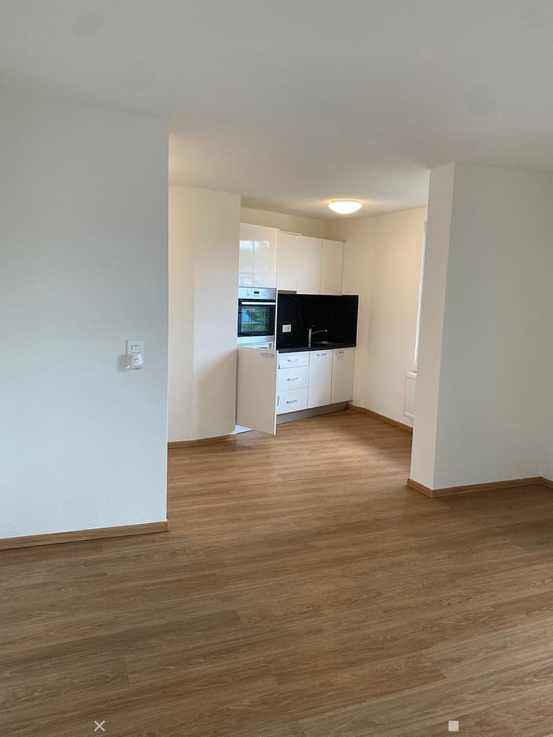 Moderne 1.5-Zimmer-Wohnung mit Balkon in Biel/Bienne – sofort verfügbar! (4)