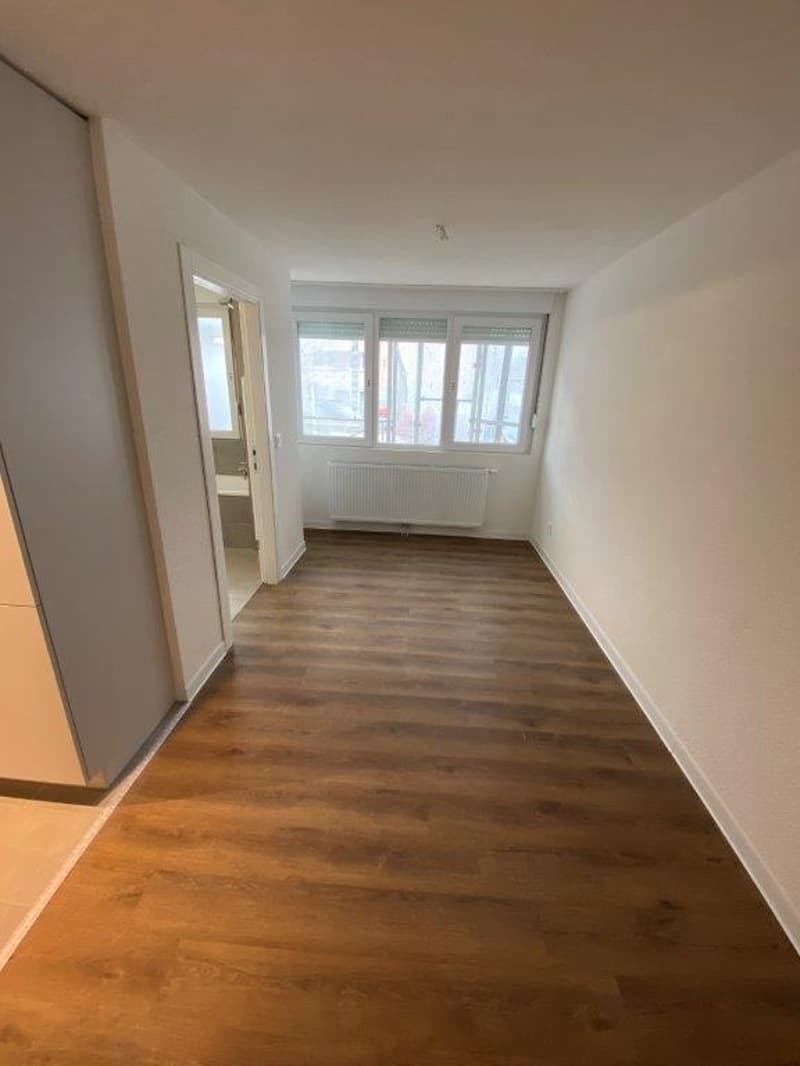Incantevole appartamento di 2 locali con balcone a La Chaux-de-Fonds (6)