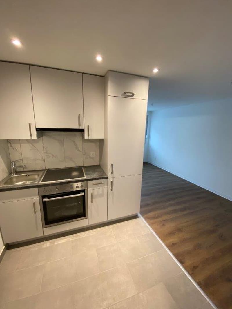 Incantevole appartamento di 2 locali con balcone a La Chaux-de-Fonds (2)