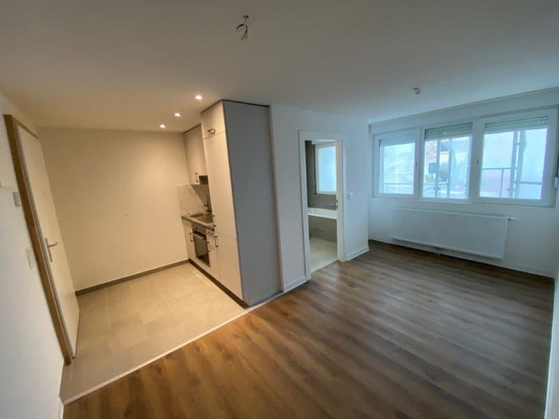 Incantevole appartamento di 2 locali con balcone a La Chaux-de-Fonds (3)