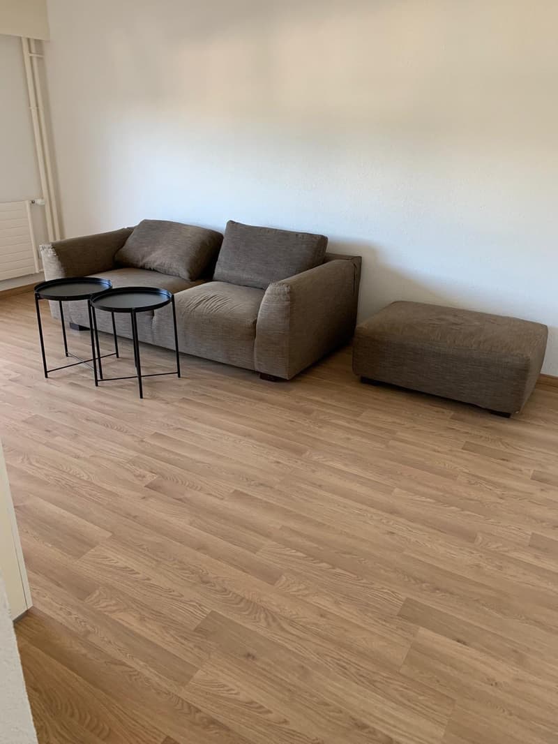 Delizioso appartamento arredato di 2,5 locali con balcone (2)