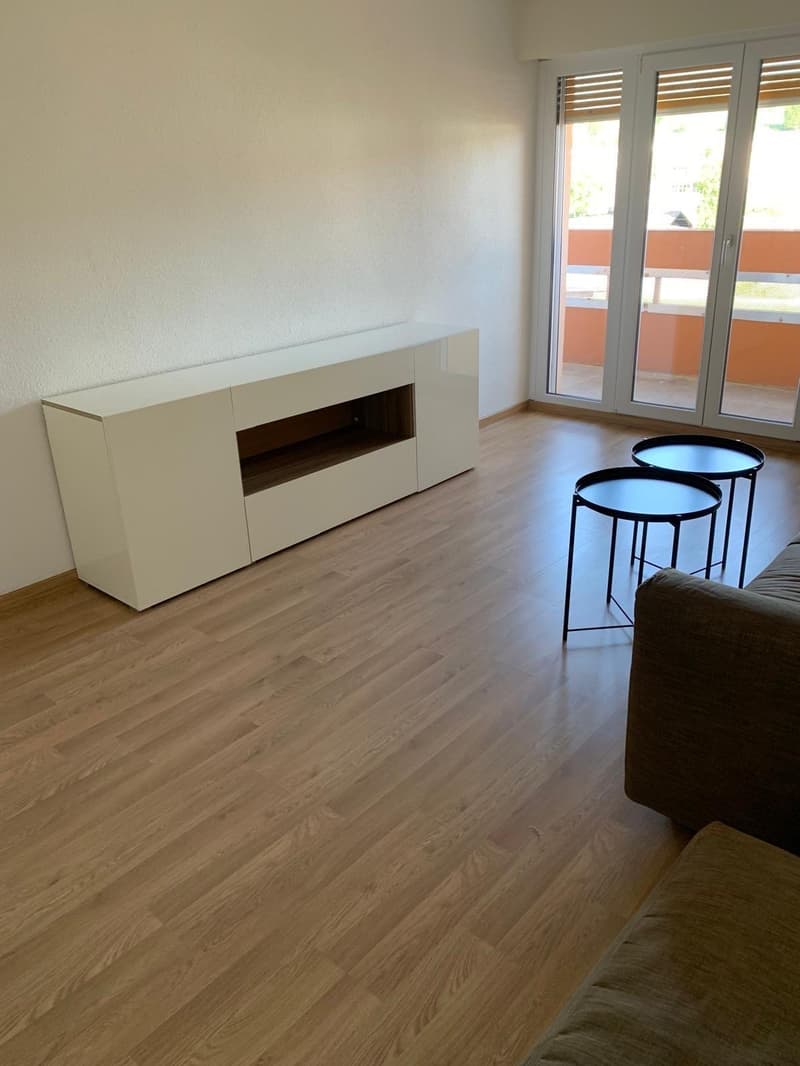 Delizioso appartamento arredato di 2,5 locali con balcone (3)