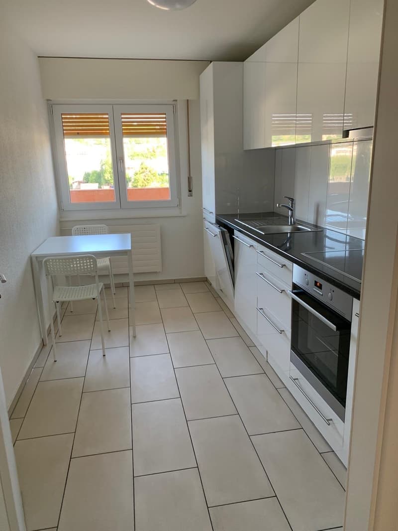 Delizioso appartamento arredato di 2,5 locali con balcone (1)