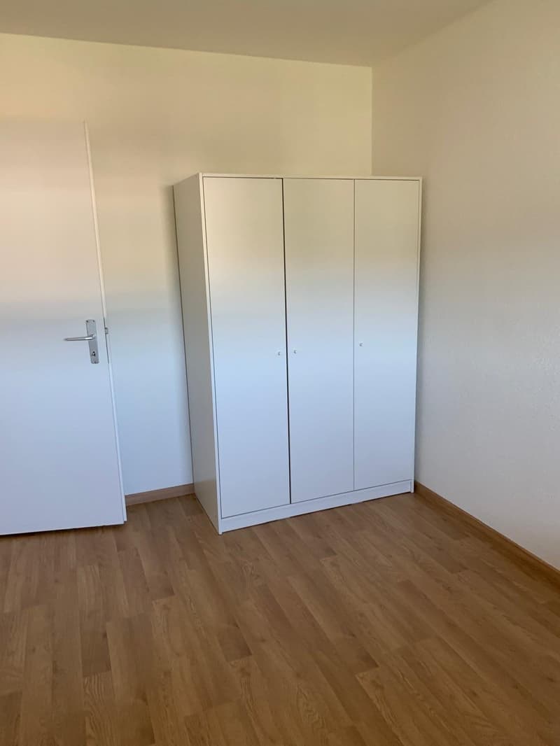 Delizioso appartamento arredato di 2,5 locali con balcone (5)
