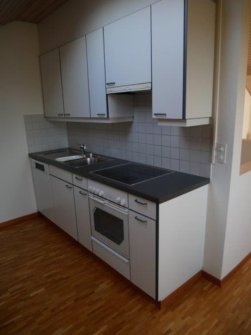 Appartement spacieux et magnifique de 3,5 pièces à louer (7)