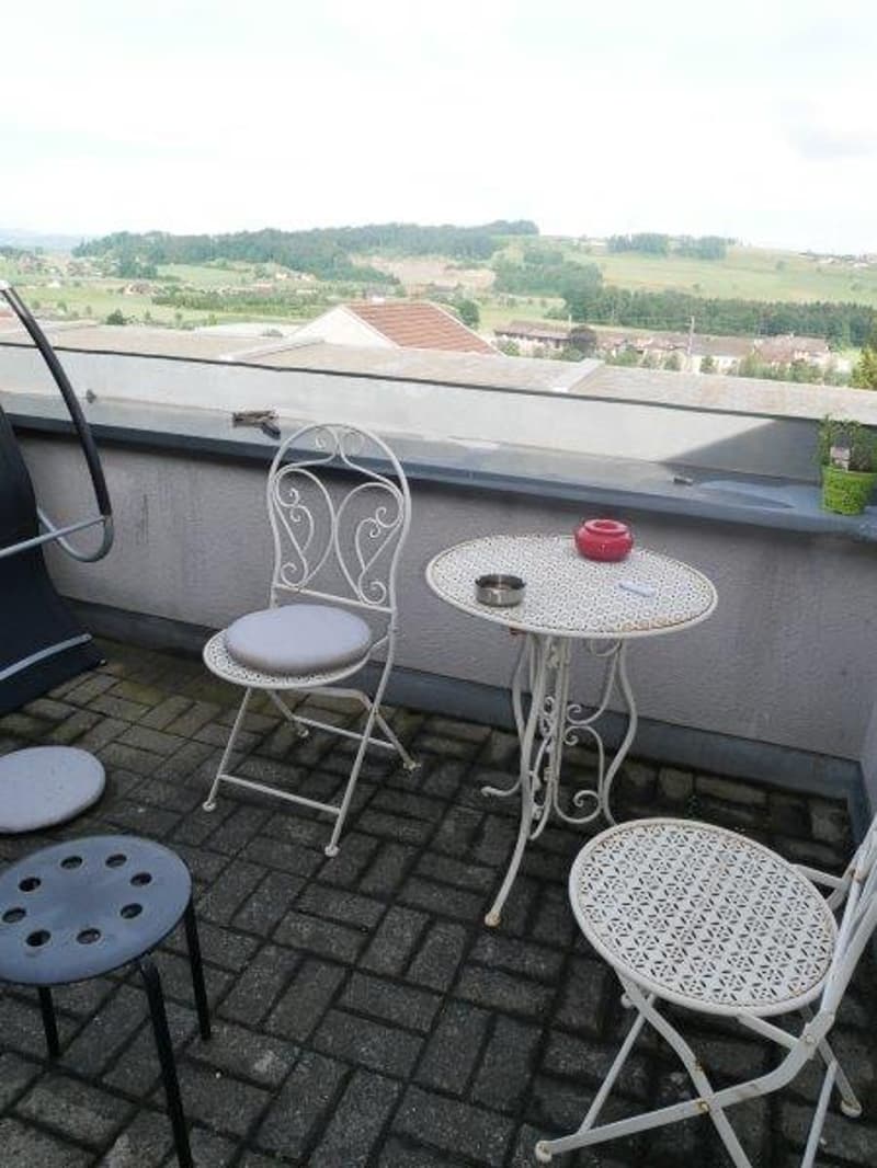 Appartement spacieux et magnifique de 3,5 pièces à louer (3)