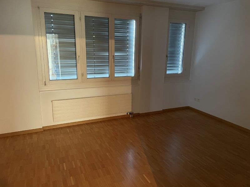 Appartement spacieux et magnifique de 3,5 pièces à louer (6)