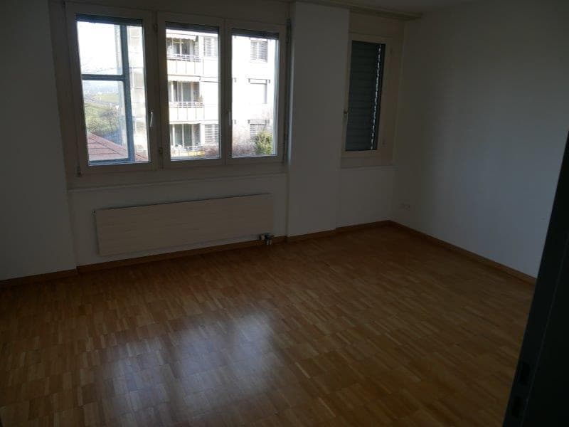 Appartement spacieux et magnifique de 3,5 pièces à louer (4)
