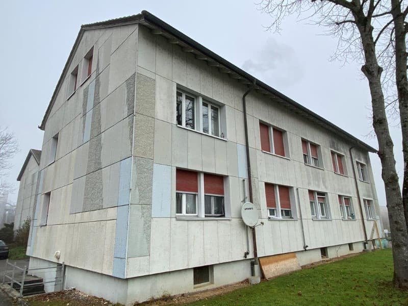 Appartement 4 pièces dans un quartier calme à Laufen – disponible à partir de septembre 2026 (2)