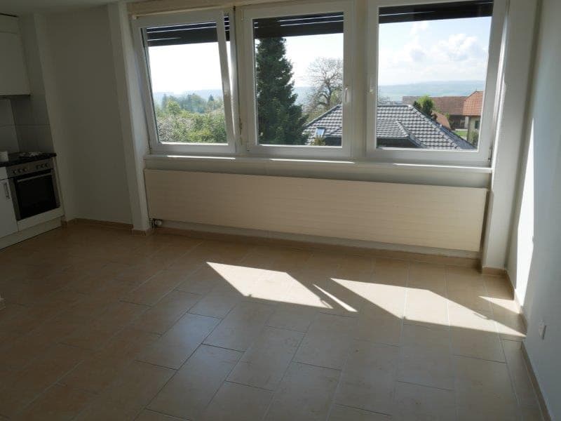 Appartamento di 2 camere luminoso con bella vista a Lommiswil (4)