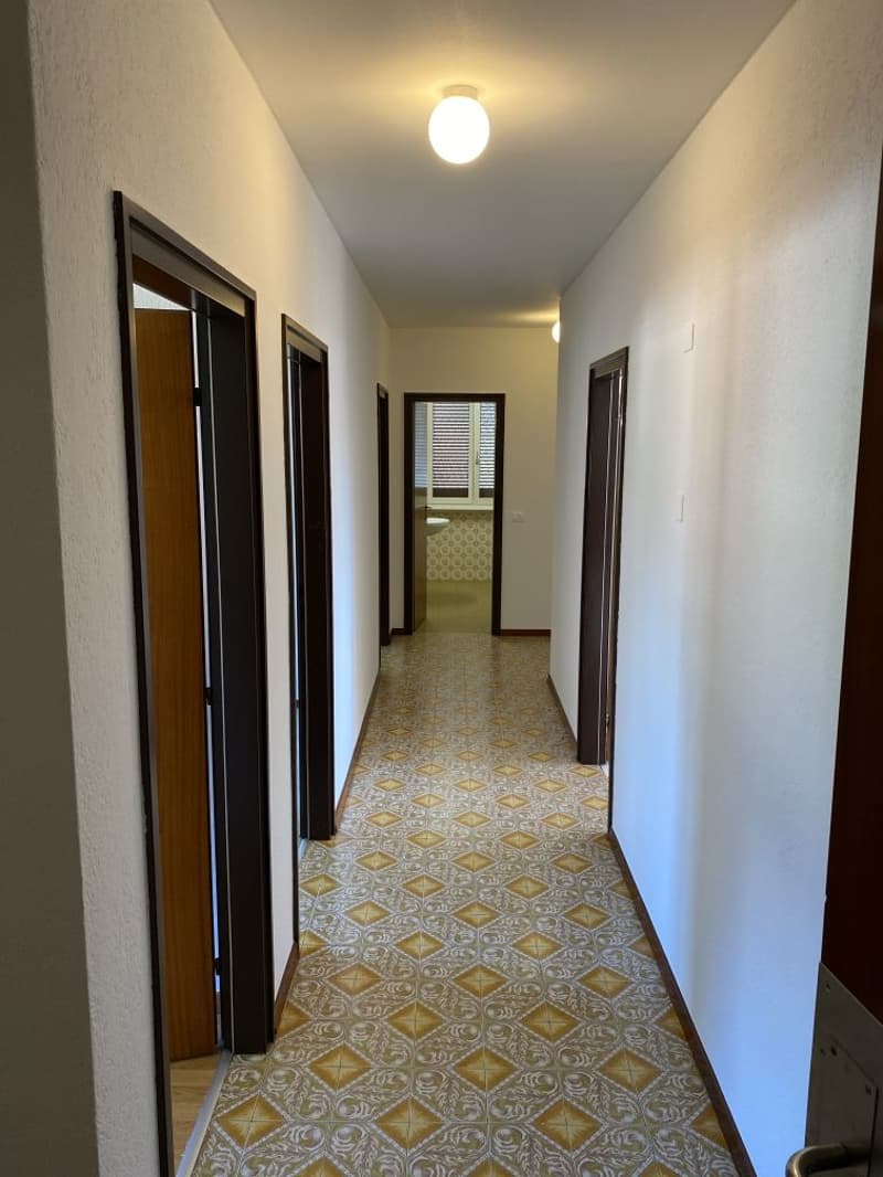 Spacious 4.5-Room Apartment with Stunning Mountain Views in Biasca (8)