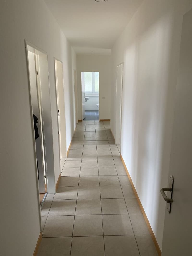 Appartement spacieux de 4,5 pièces avec vue panoramique à Biasca (8)