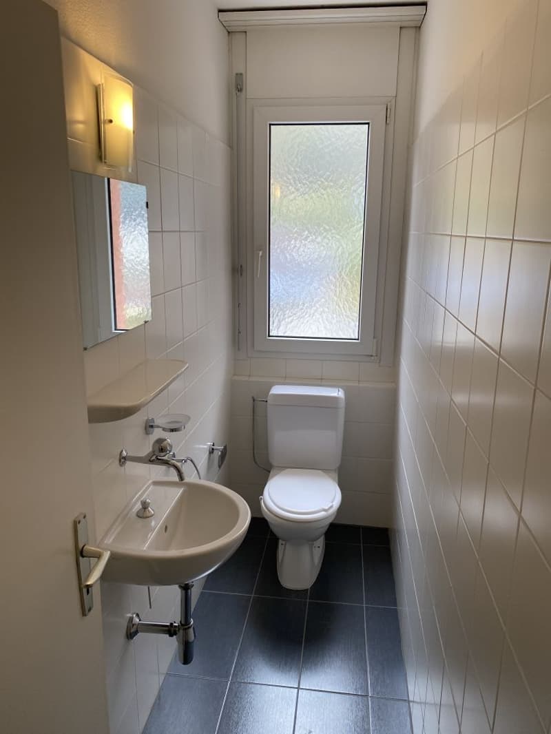 Appartement spacieux de 4,5 pièces avec vue panoramique à Biasca (10)