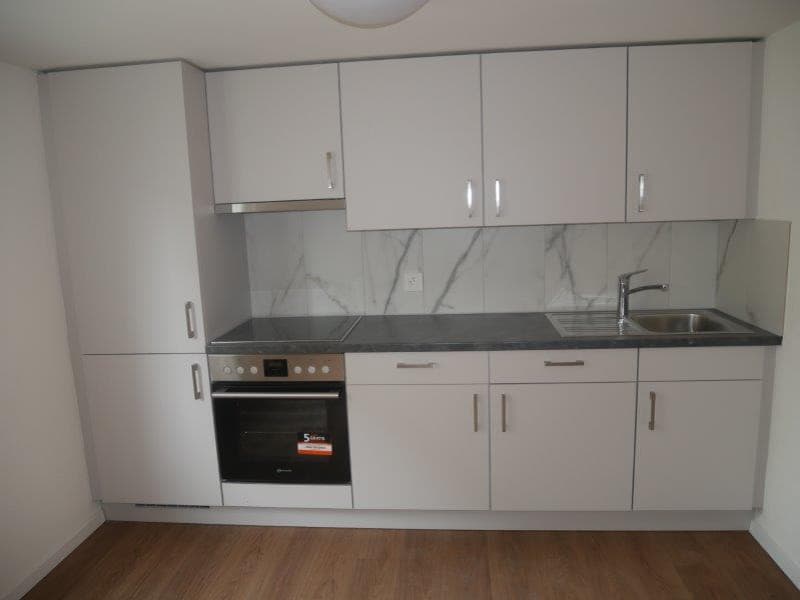 Appartement de 1,5 pièces rénové à louer (2)