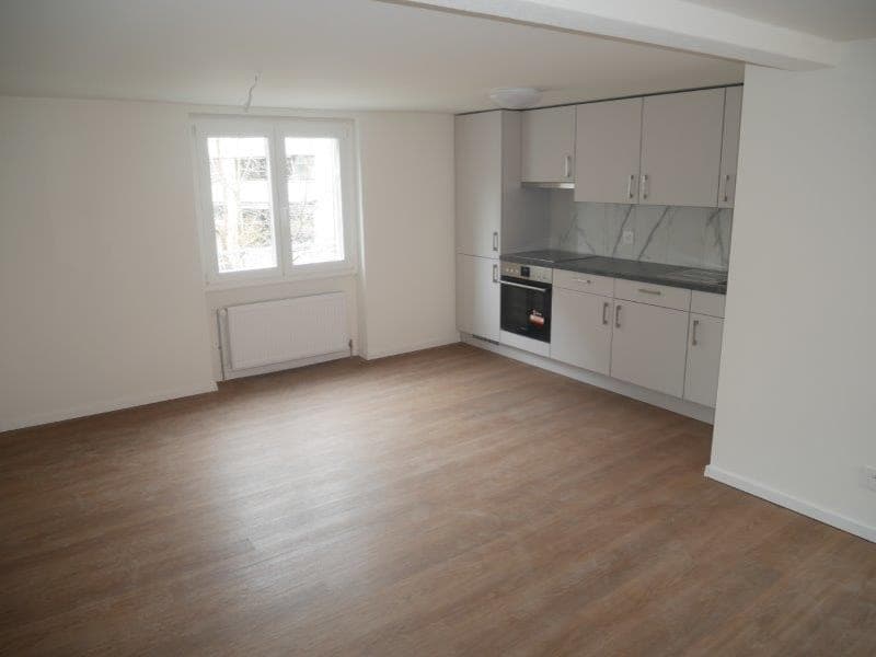 Appartement de 1,5 pièces rénové à louer (3)