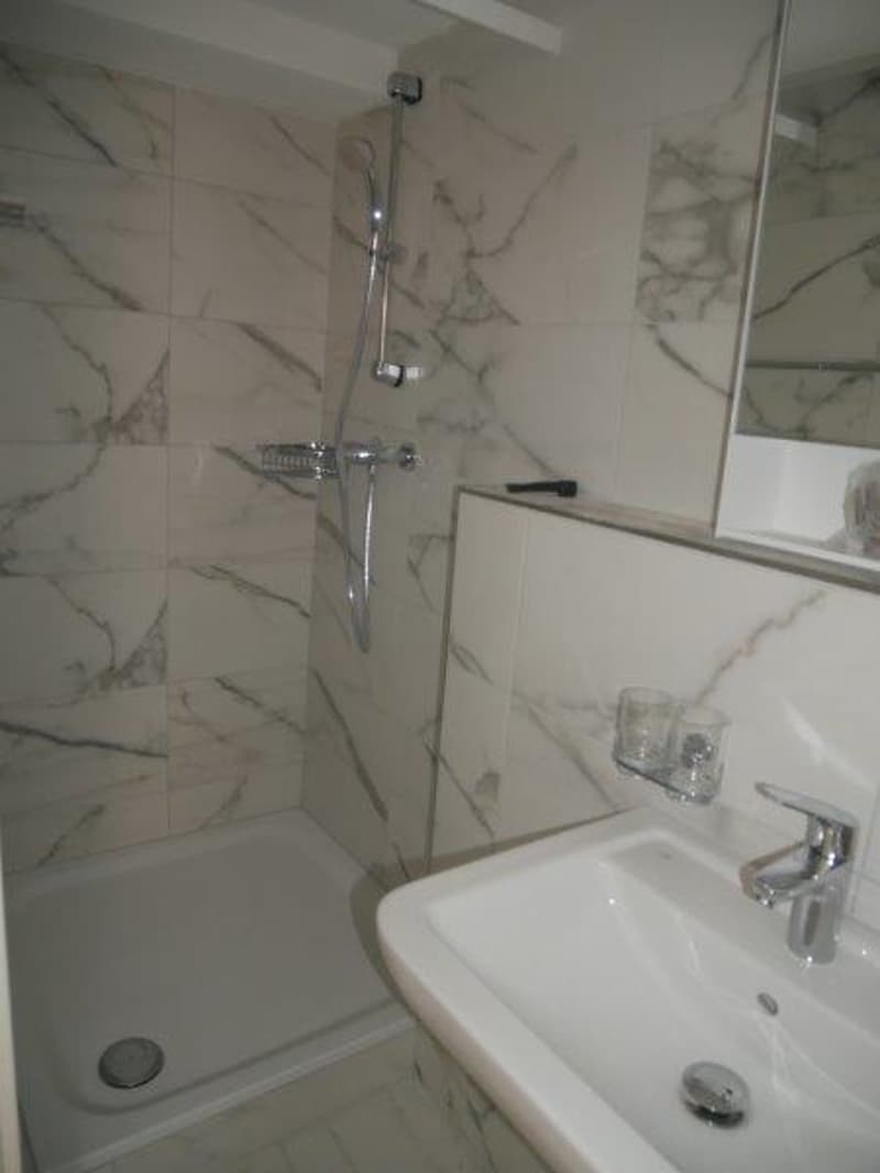 Appartement de 1,5 pièces rénové à louer (6)