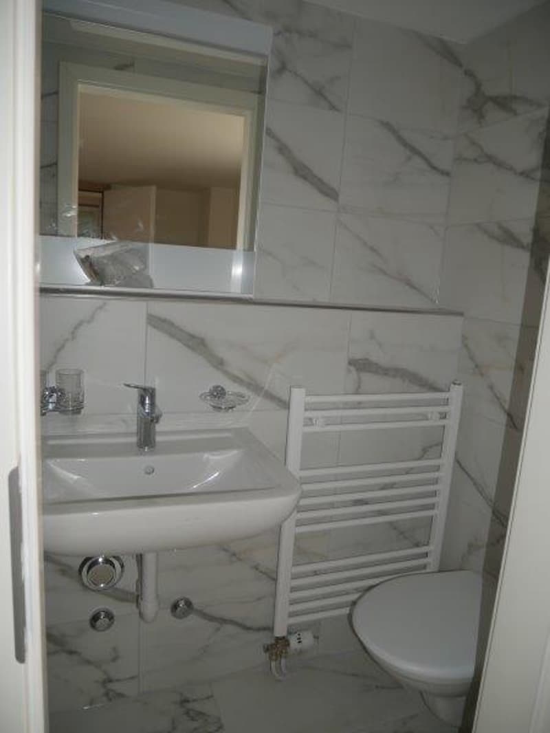 Appartement de 1,5 pièces rénové à louer (7)
