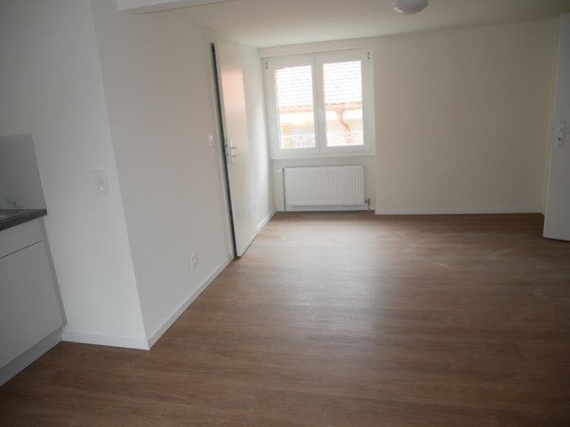 Appartement de 1,5 pièces rénové à louer (5)