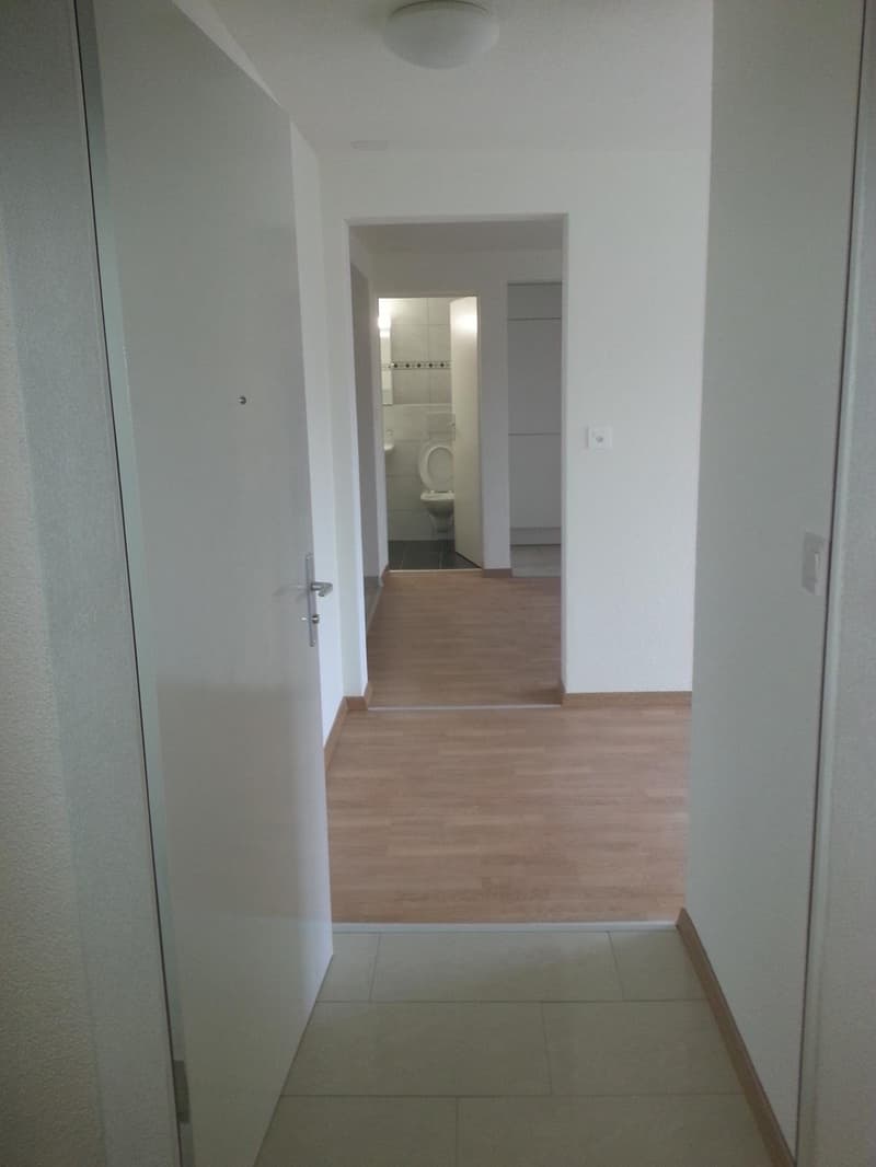 Bell'appartamento mansardato di 2 camere in affitto (11)