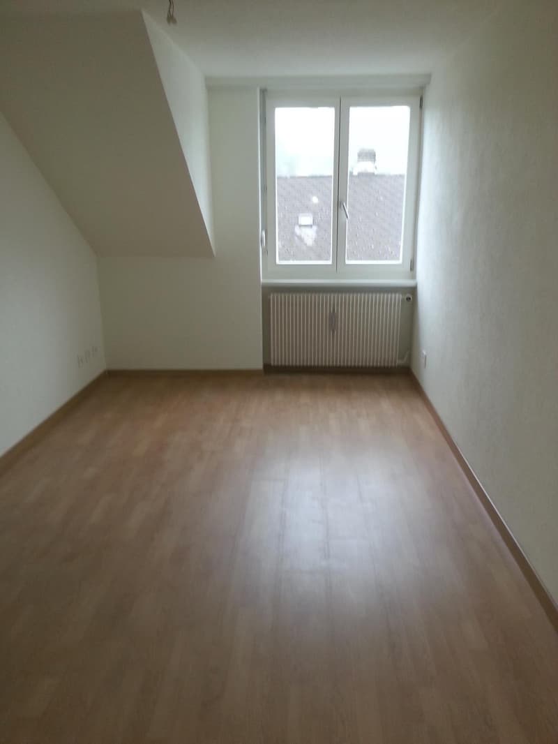 Bell'appartamento mansardato di 2 camere in affitto (9)