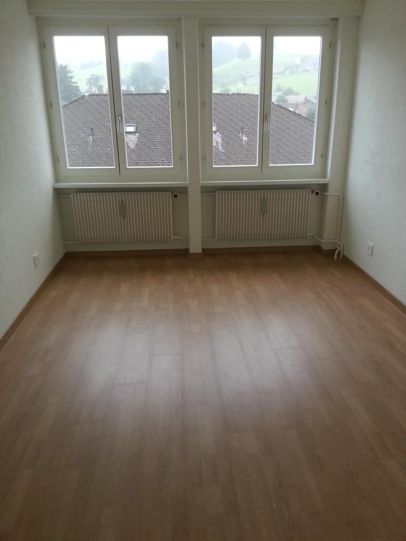Bell'appartamento mansardato di 2 camere in affitto (10)